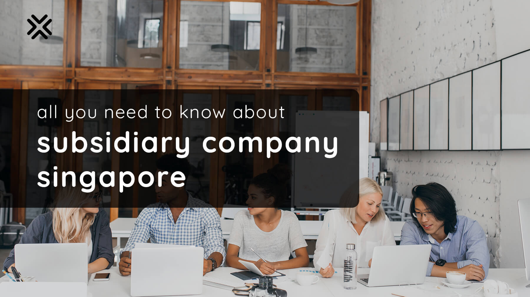 All you need to know about Subsidiary Company Singapore